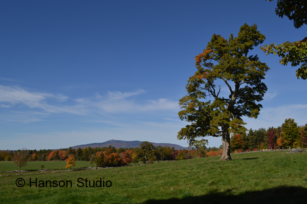 Mt. Monadnock - Witt Hill Rd - Mountain and Tree - Fall